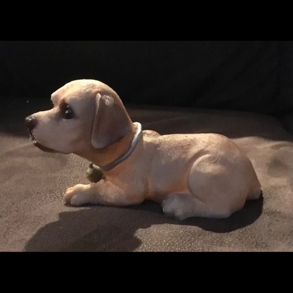 Golden Puppy With Collar Figurine - Picture 5 of 5